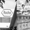 跨國醫藥巨頭：夢想能否變成現實？