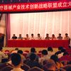 劉燕華副部長出席中國醫療器械產業技術創新戰略聯盟成立大會